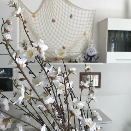 B&B Cagliari Ariosto *